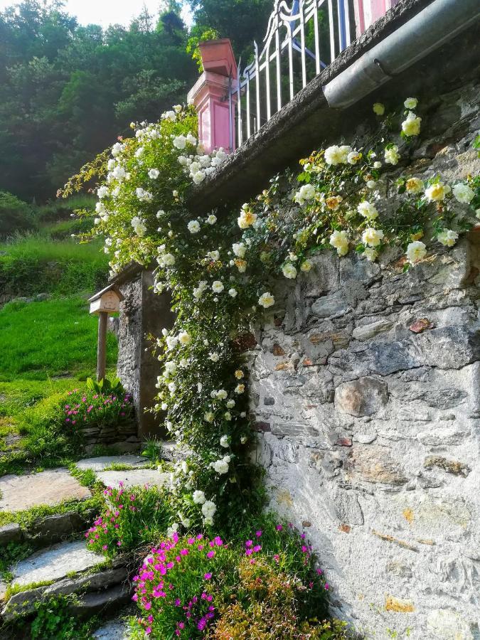 Shanty Calasca-Castiglione Dış mekan fotoğraf