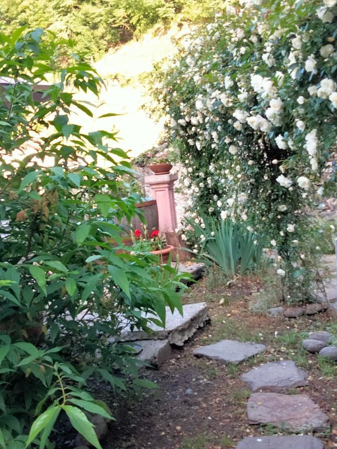 Shanty Calasca-Castiglione Dış mekan fotoğraf